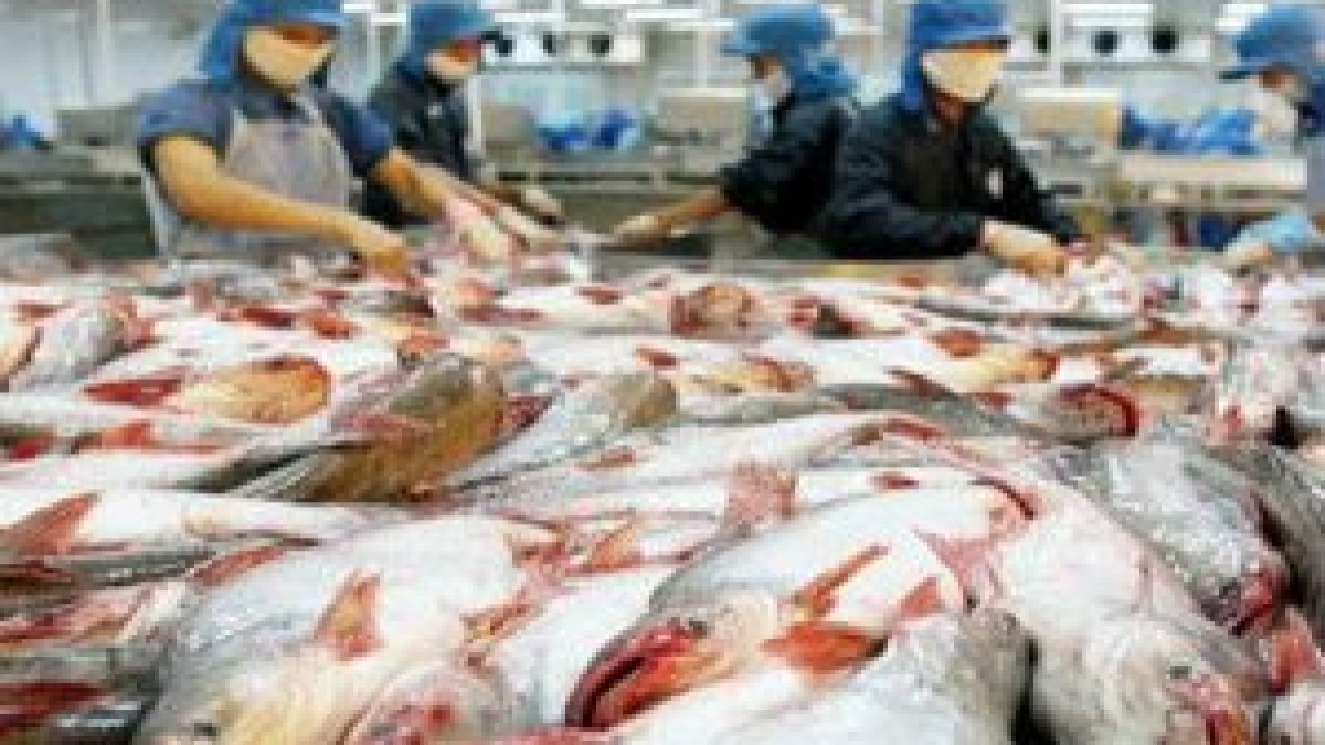 Gujarat topped the country with annual fish production of 7.8 lakh tonnes