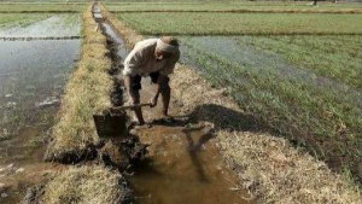 union cabinet has approved the pradhan mantri kisan samman siddhi scheme