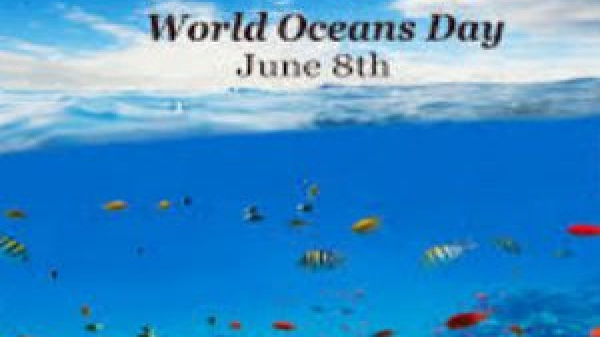 World Oceans Day is celebrated on 8th June