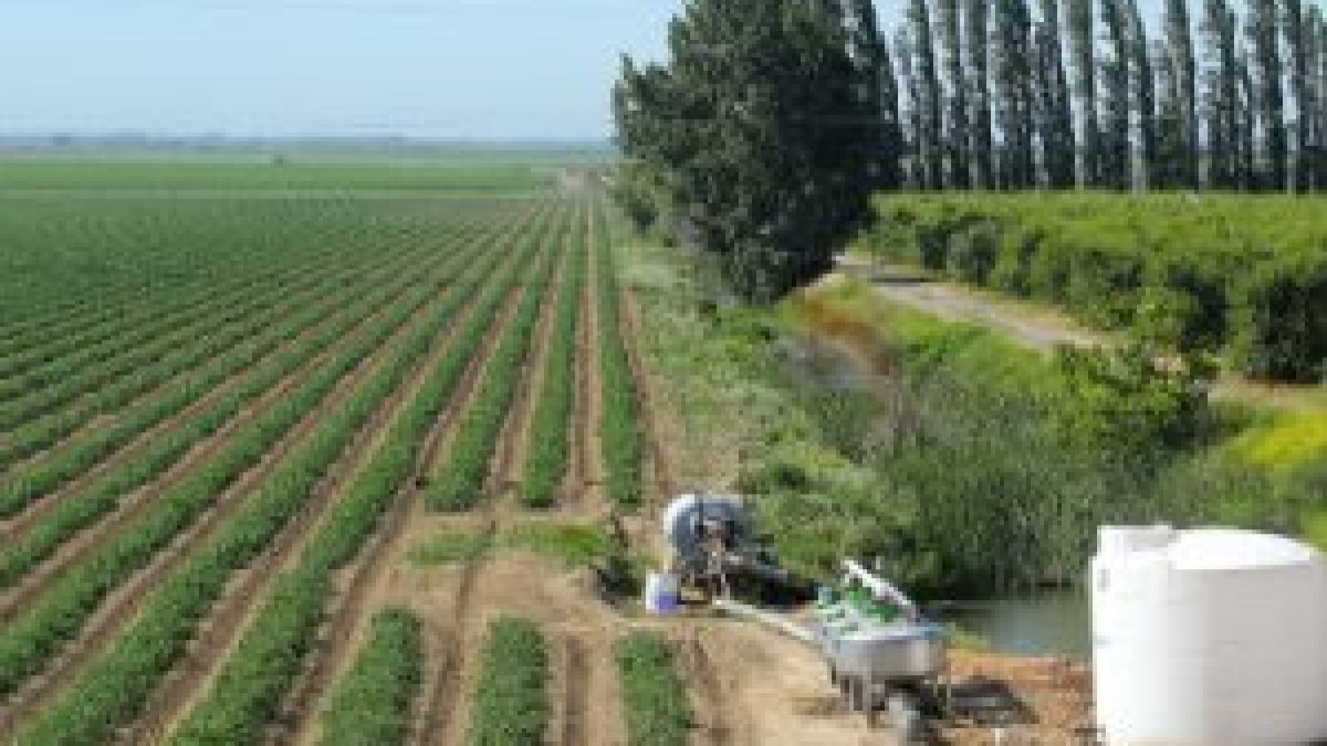 Govt signs MoU with IBM for weather forecast