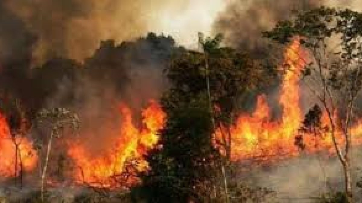 Brazil rejects G7 aid to fight with Amazon fires