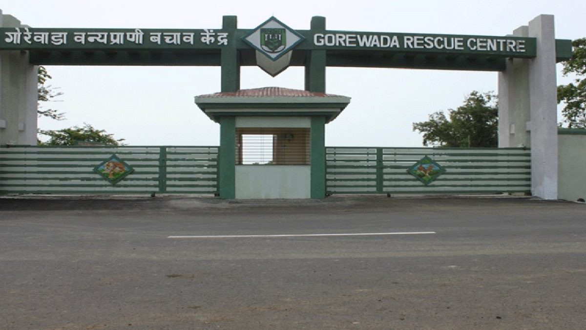 Gorewada International Zoo to be set up at Nagpur