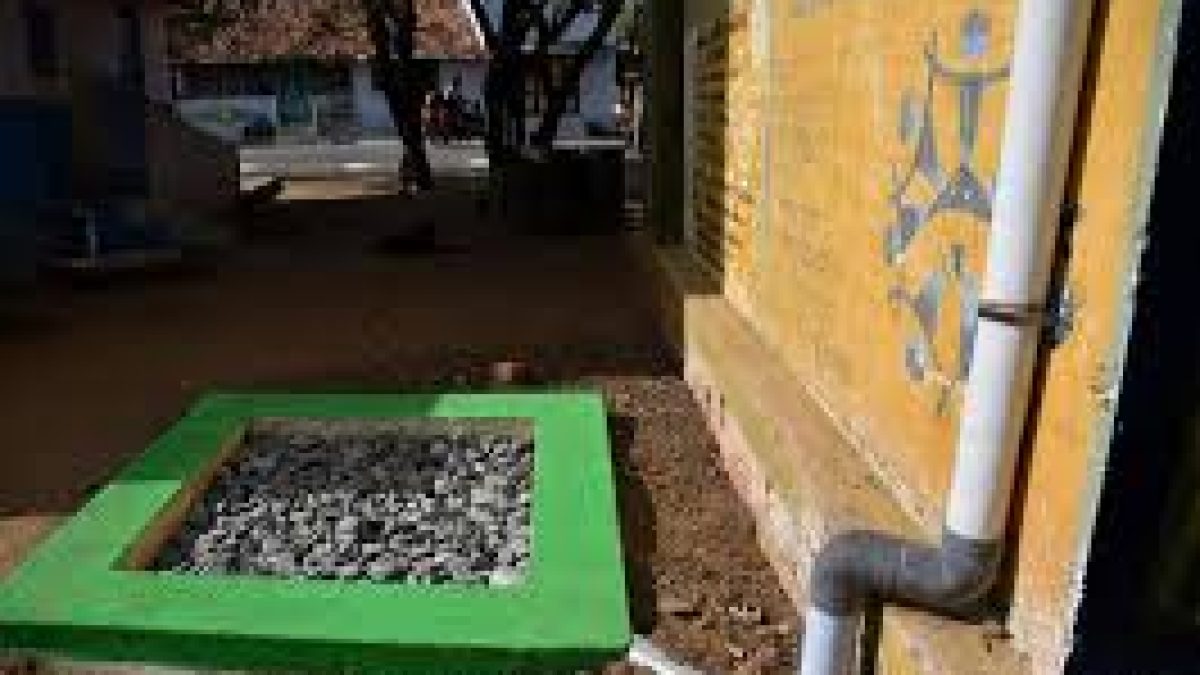 Recycling plants and rainwater harvesting