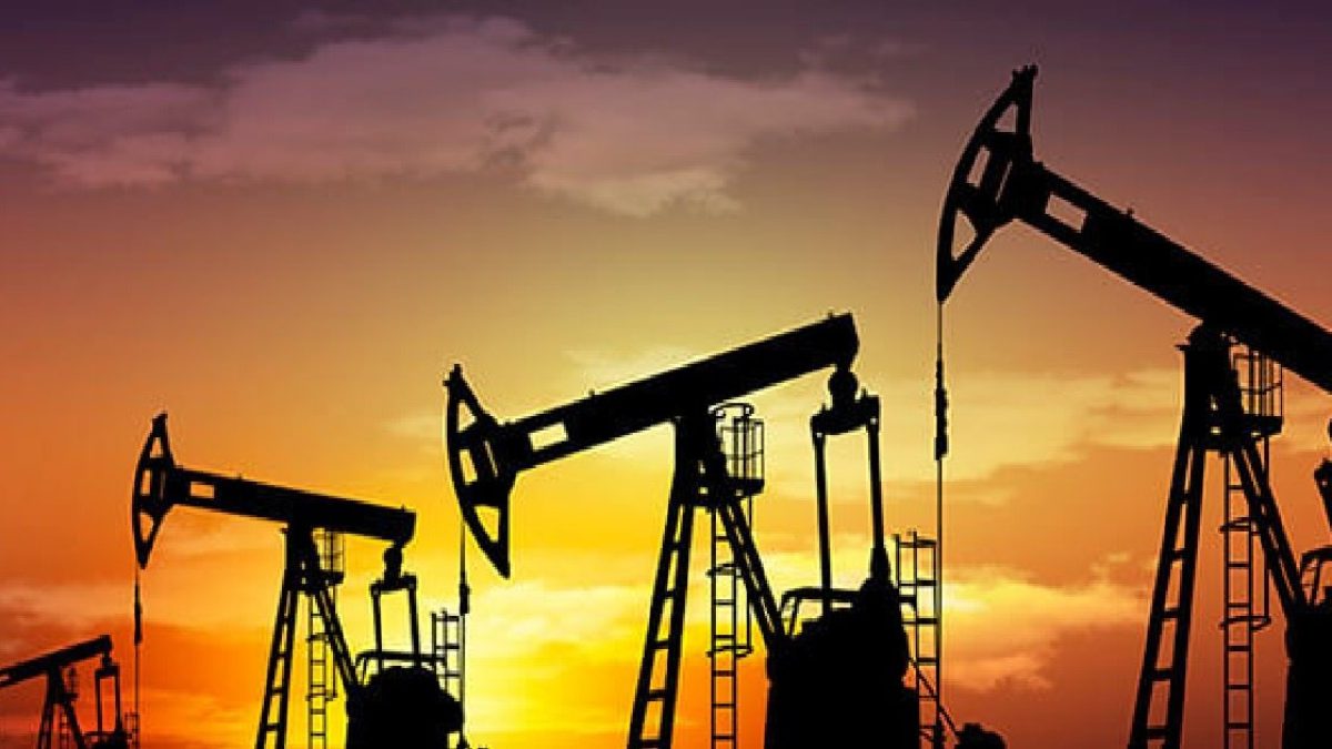 India raises the issue of global oil price volatility with Russia