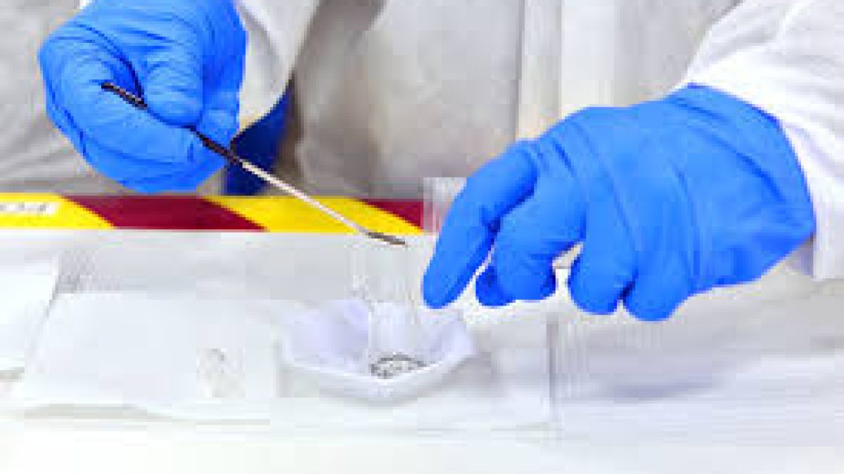 Haryana Police to make forensic reports tamper-proof