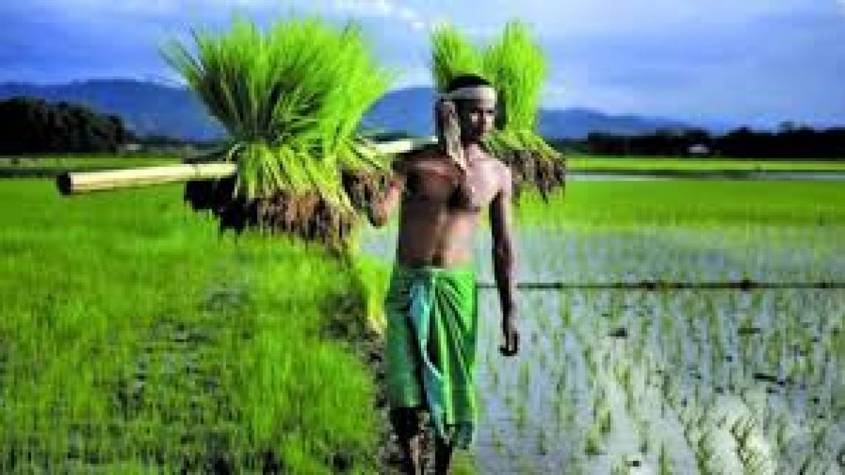 Odisha has decided to merge KALIA Yojana with PM-KISAN Yojana