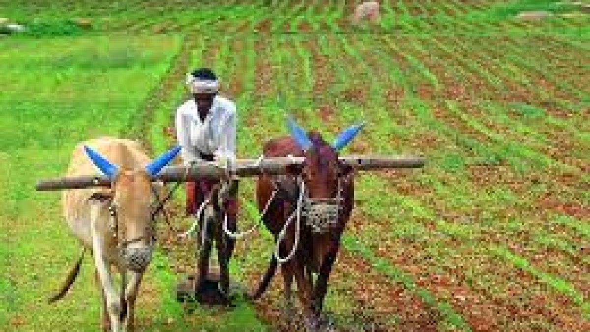 1.64 crore farmers have registered on e-NAM platform