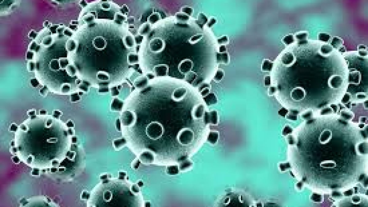Clinical features of patients infected with novel Coronavirus in China