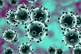 Clinical features of patients infected with novel Coronavirus in China