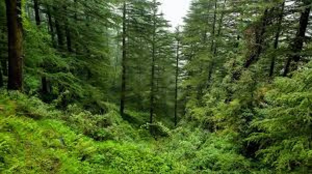 FAC has approved the Green Credit Scheme