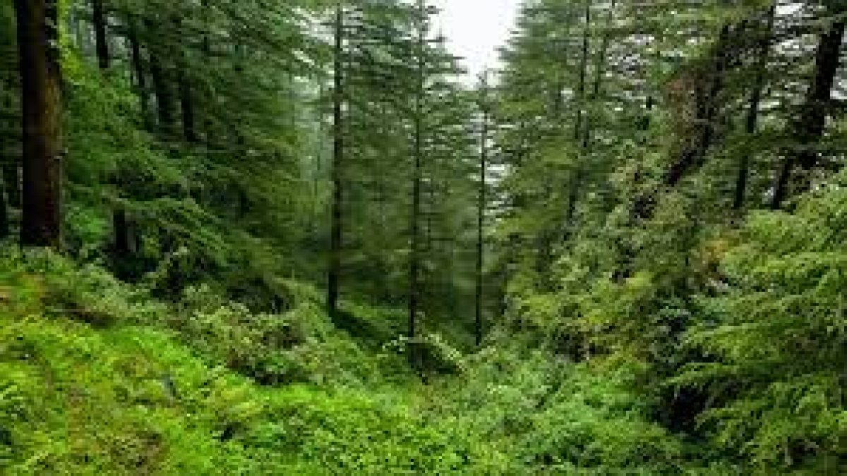 FAC has approved the Green Credit Scheme