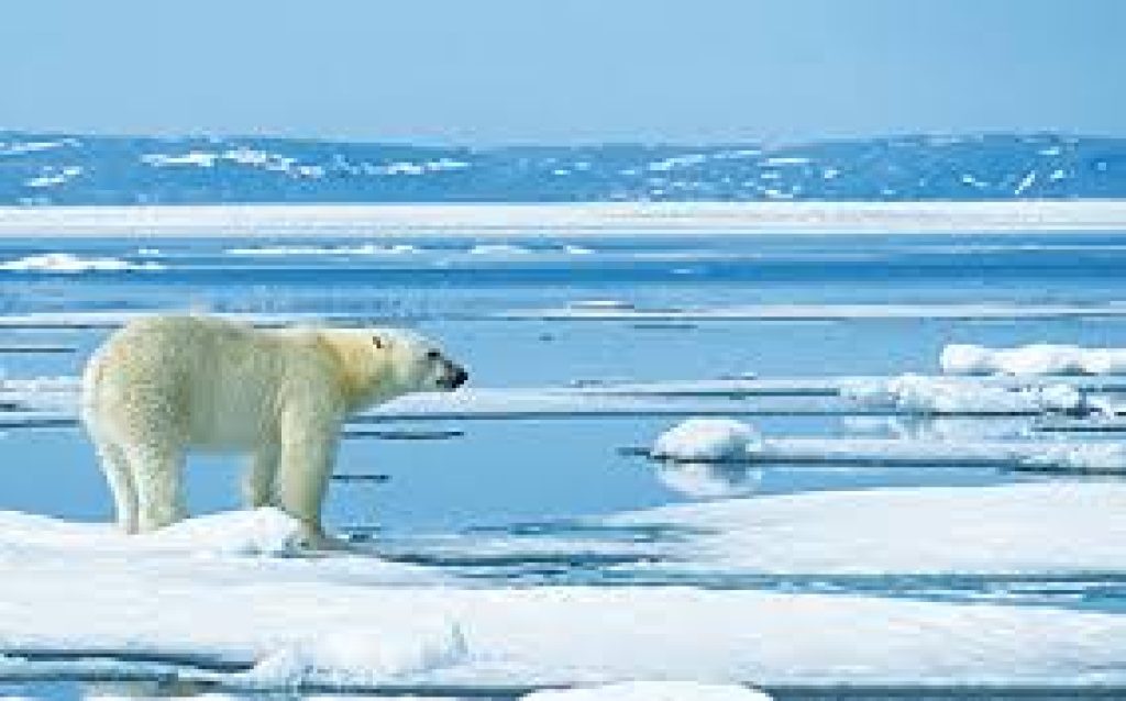 India and Sweden signed MoU on cooperation in Polar Science