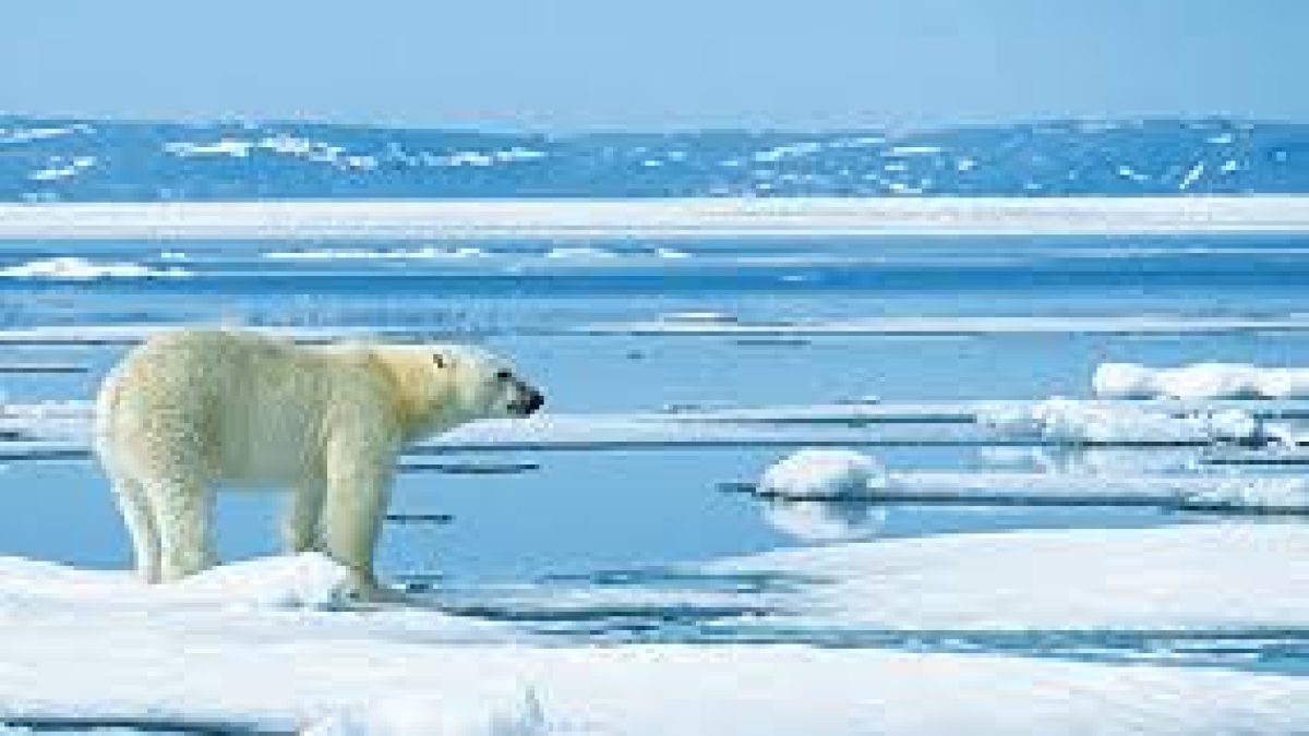 India and Sweden signed MoU on cooperation in Polar Science
