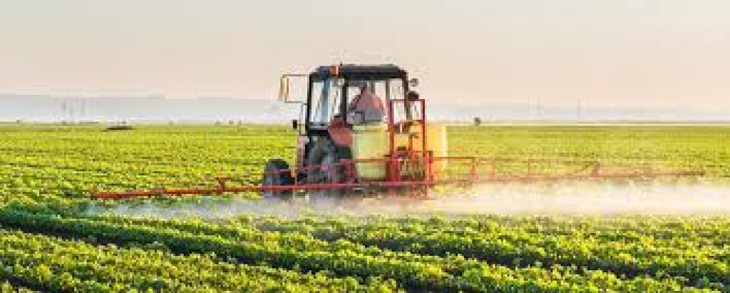 Zero Budget Natural Farming in Andhra Pradesh