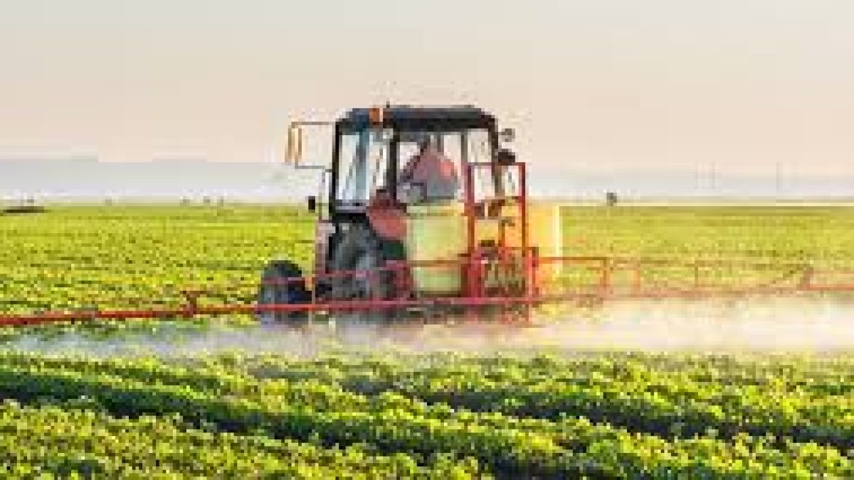 Zero Budget Natural Farming in Andhra Pradesh