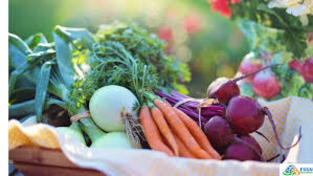 APEDA-CFTRI Sign MoU for Liason Office in Guwahati