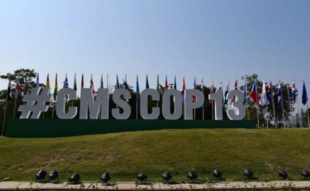 13th COP of the Convention on the Conservation of Migratory Species of Wild Animals