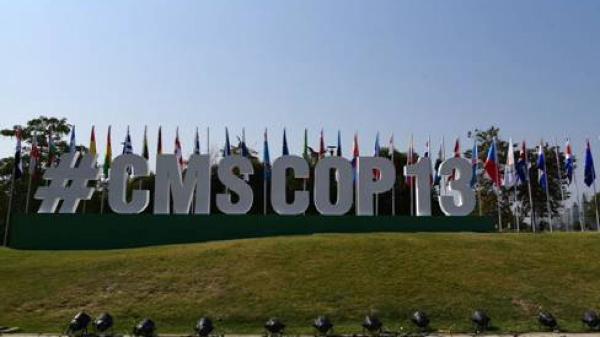 13th COP of the Convention on the Conservation of Migratory Species of Wild Animals