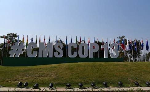 13th COP of the Convention on the Conservation of Migratory Species of Wild Animals