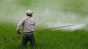 The Pesticides Management Bill, 2020