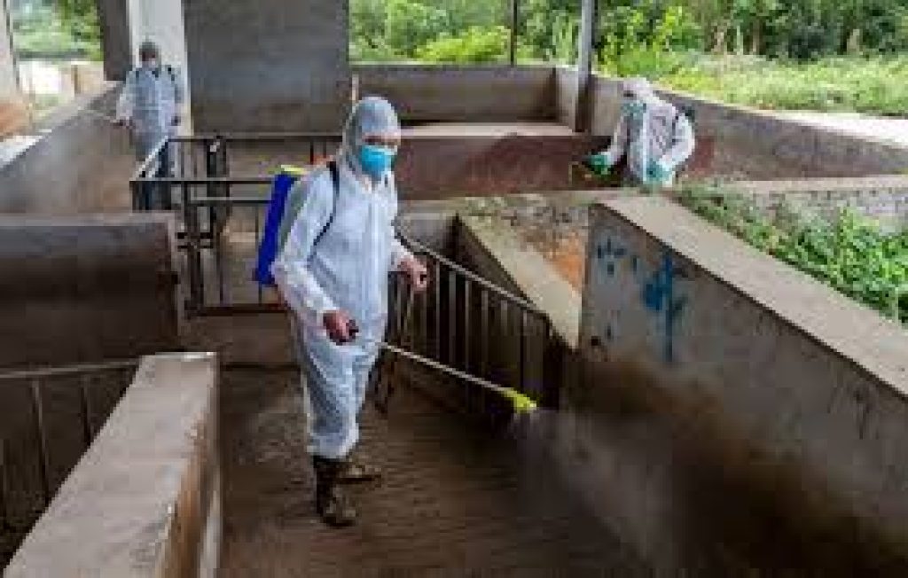 Swine Fever Control Vaccines