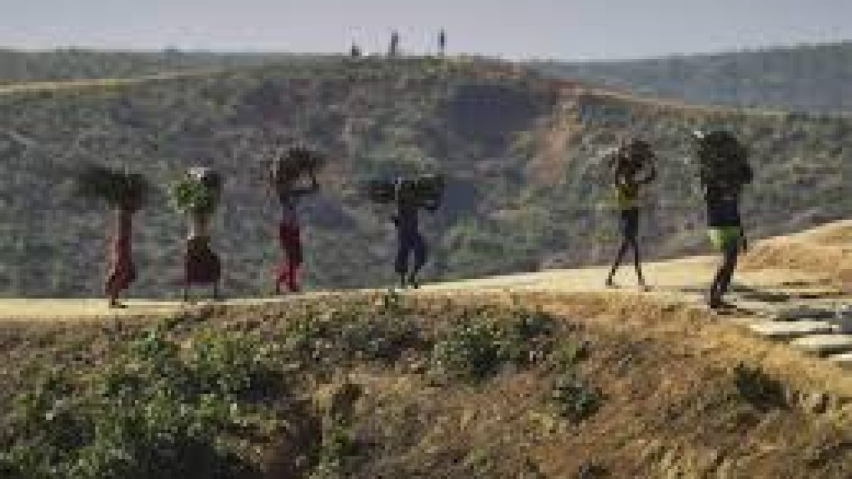 Depopulation in Border Areas of Arunachal Pradesh