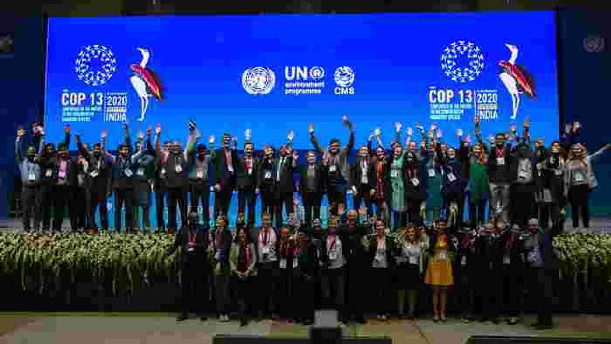 13th Conference of the Parties to the Convention on Migratory Species