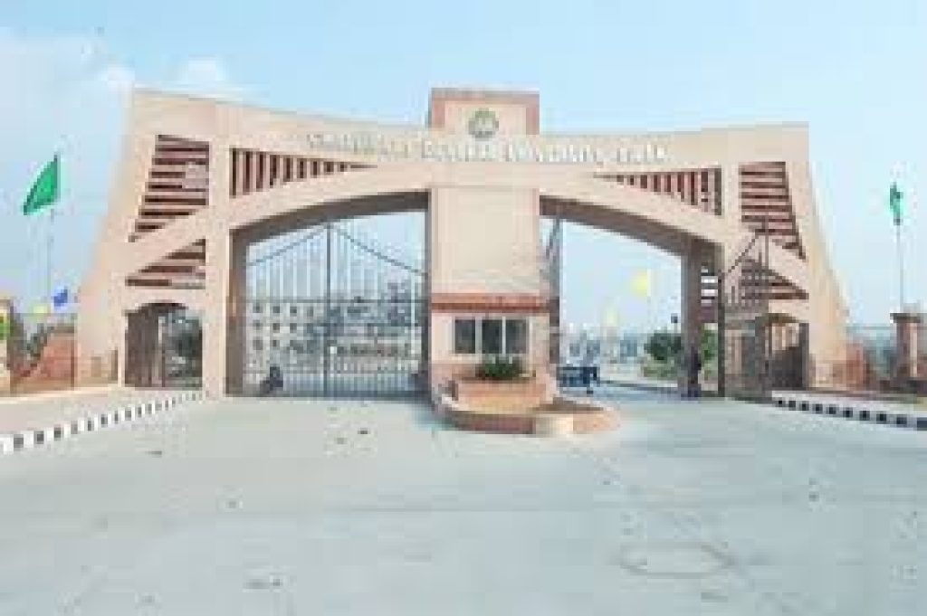 Chaudhary Devi Lal University, Sirsa