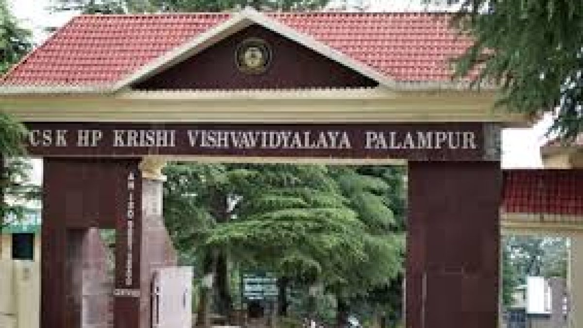Chaudhary Sarwan Kumar Himachal Pradesh Krishi Vishvavidyalaya, Palampur