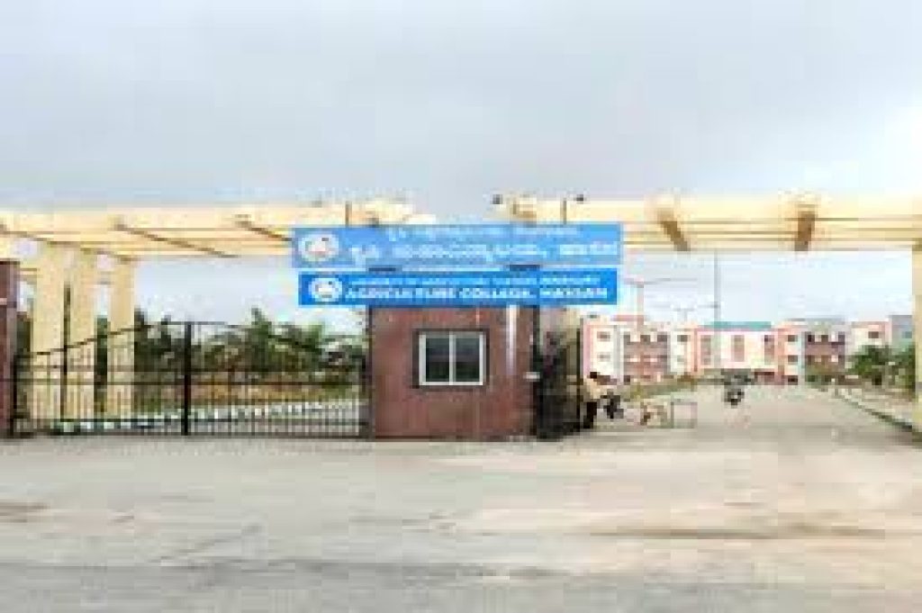 College of Agriculture, Hassan