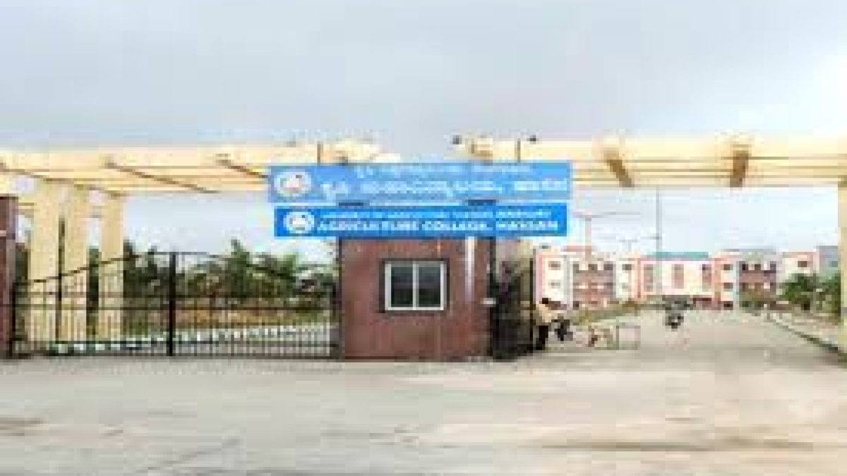 College of Agriculture, Hassan