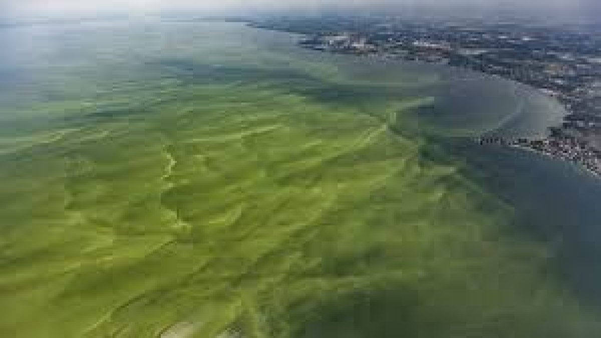 INCOIS launches three warning systems for fishermen