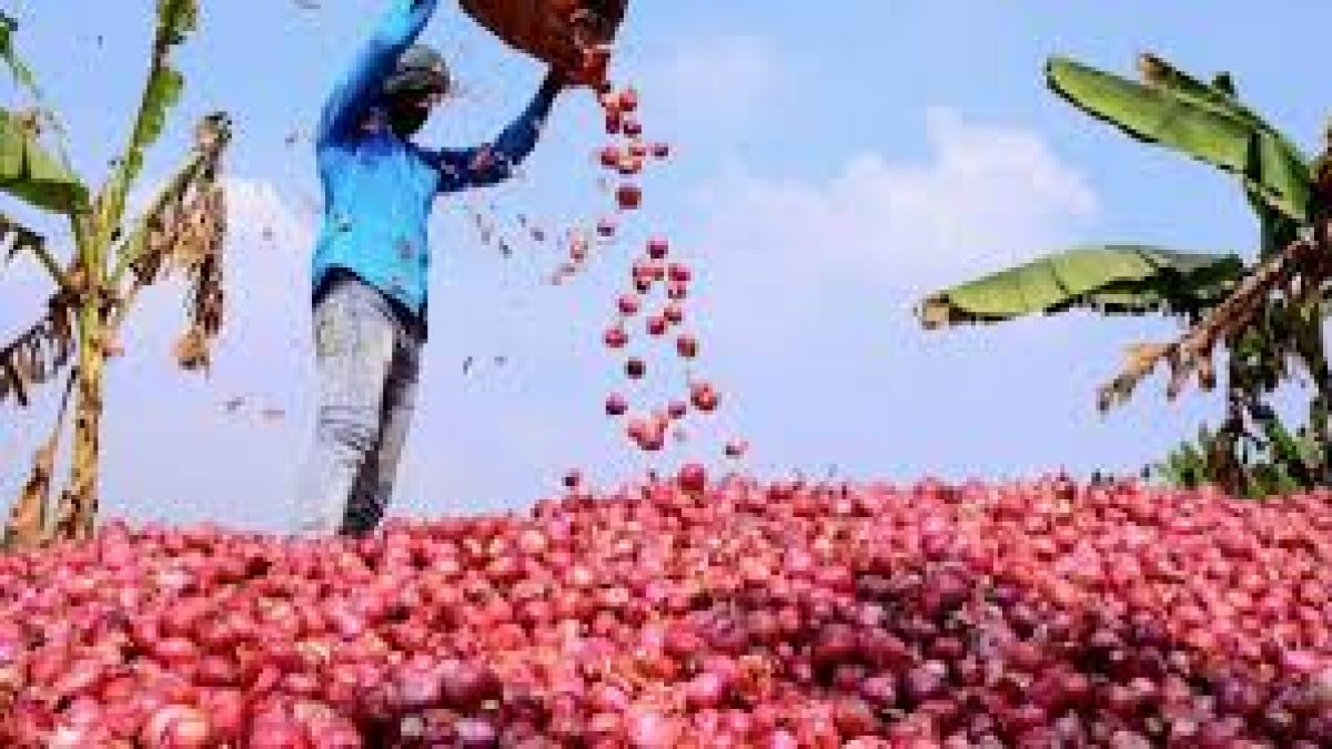 Centre decides to lift ban on onion exports