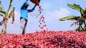 Centre decides to lift ban on onion exports