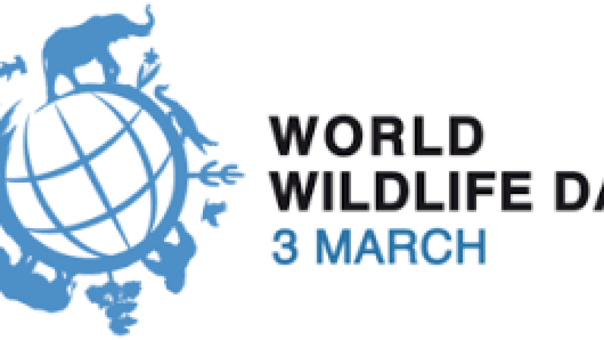 World Wildlife Day 2020