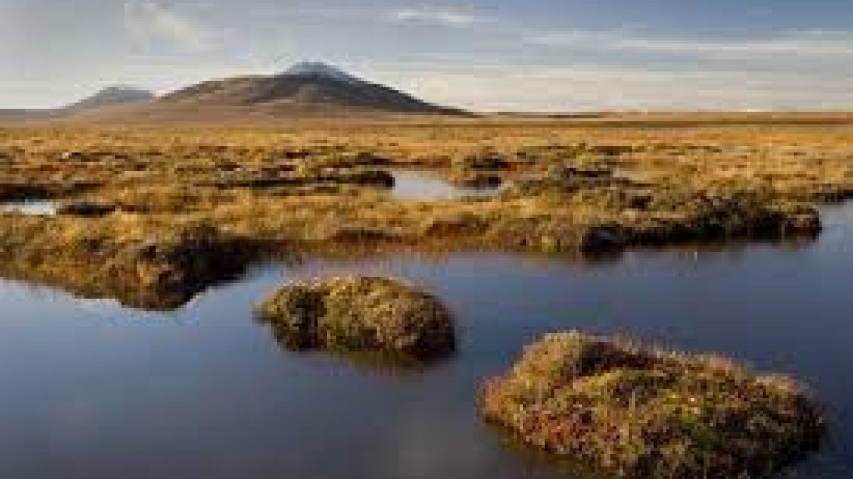Protecting Peatlands can help attain climate goals