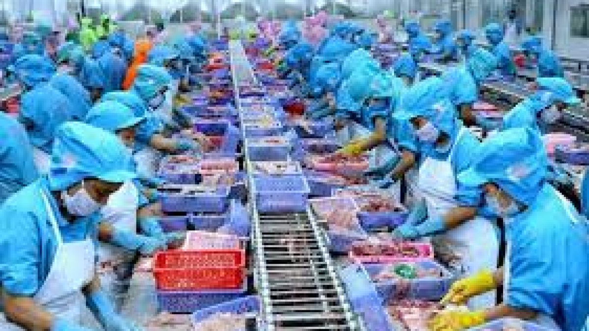 Challenges faced by seafood exporters