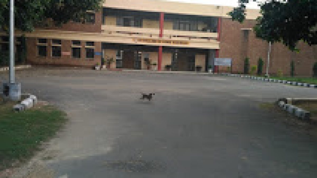 IC College of Home Sciences, Hisar