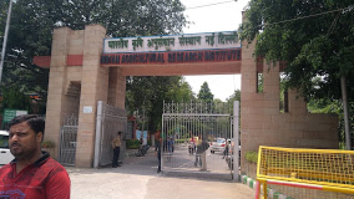 Indian Agricultural Research Institute, New Delhi