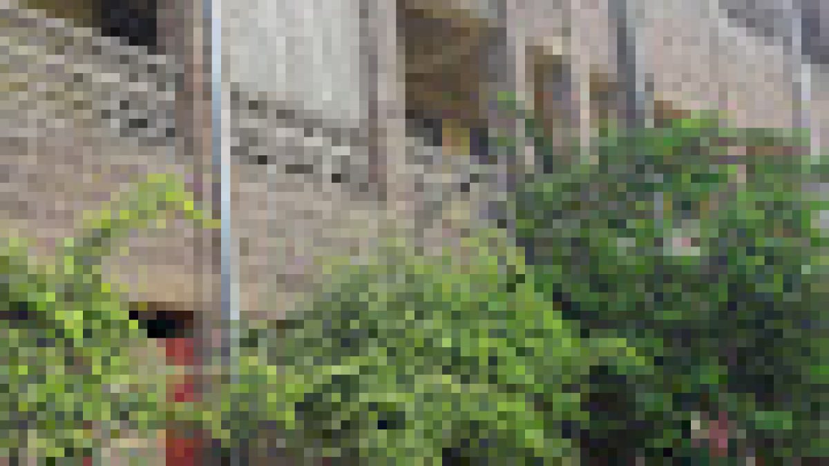 Indian Institute of Petroleum and Energy Visakhapatnam