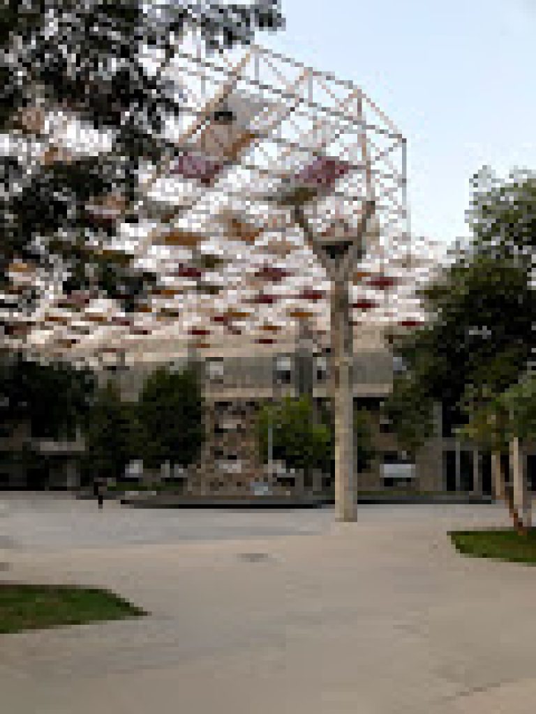 Indian Institute of Technology Gandhinagar