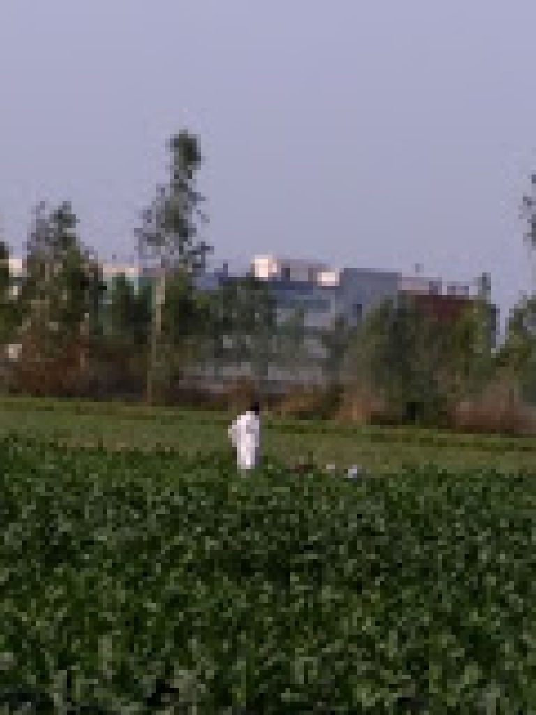 Indraprastha Institute of Technology, JP Nagar