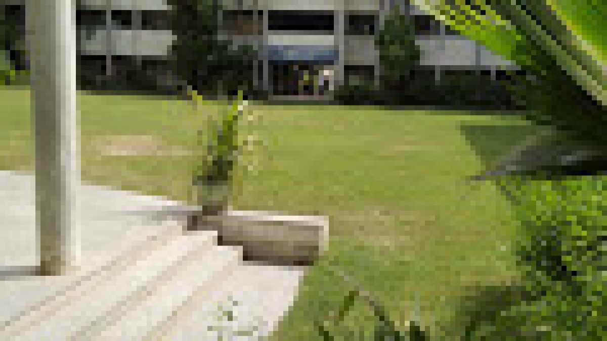 Kadi Sarva Vishwavidyalaya, Gandhinagar