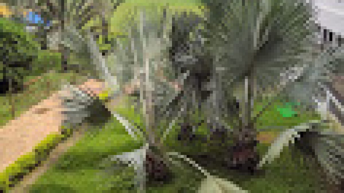 Nagpur Institute of Technology, Nagpur