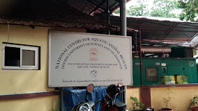 National Centre for Aquatic Animal Health, Cochin University of Science and Technology, Cochin