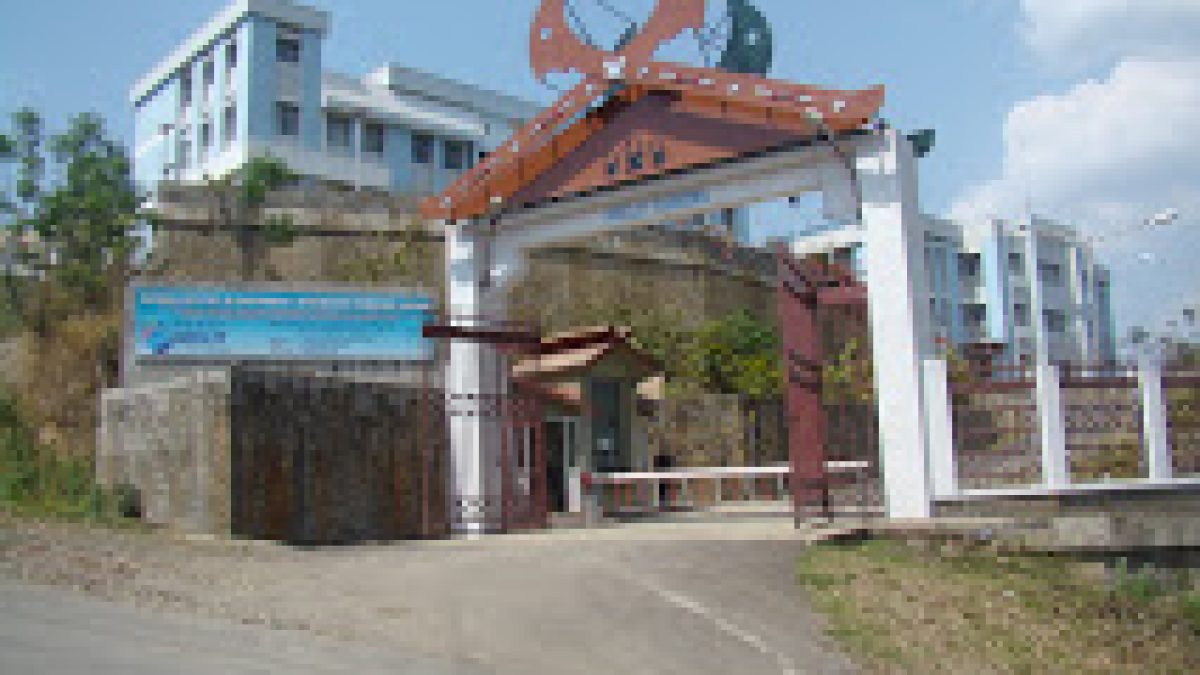 National Institute of Electronics and Information Technology, Kohima