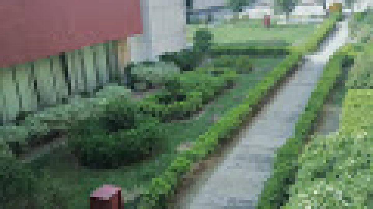 National Institute of Food Technology Entrepreneurship and Management, Sonepat