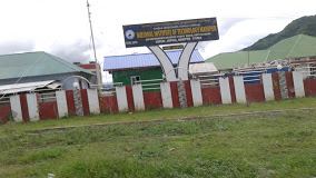 National Institute of Technology Manipur