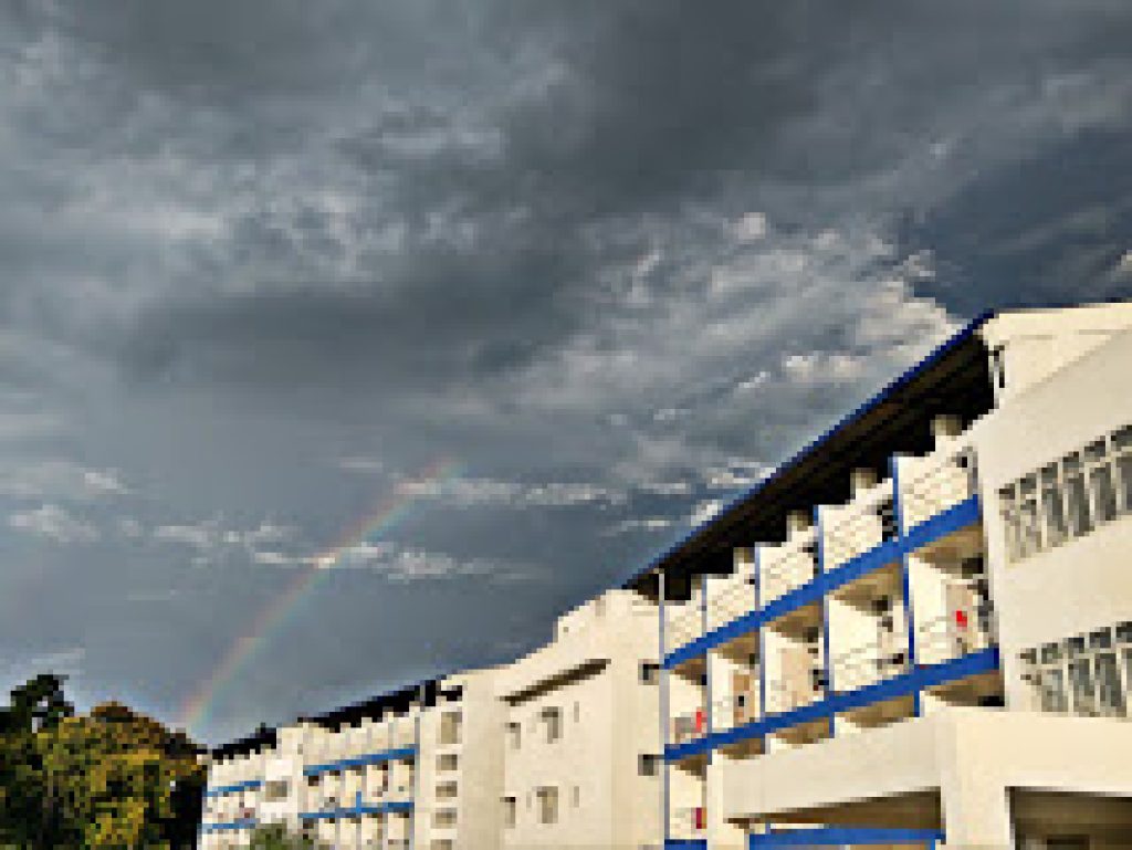 National Institute of Technology Nagaland