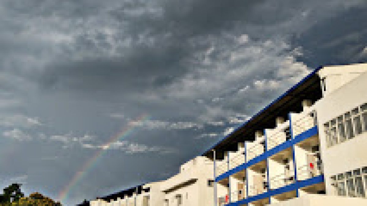 National Institute of Technology Nagaland